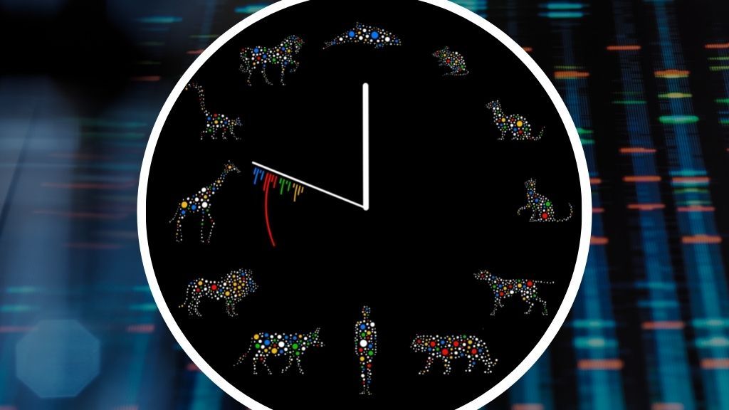 illustration of a clock with various animal species depicted on its face, instead of numbers