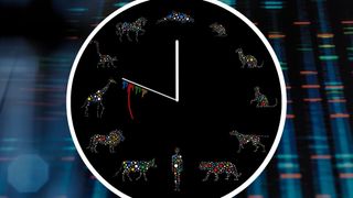 illustration of a clock with various animal species depicted on its face, instead of numbers