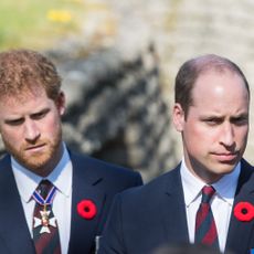 lille, france april 09 prince william, duke of cambridge and prince harry walk through a trench during the commemorations for the 100th anniversary of the battle of vimy ridge on april 9, 2017 in lille, france photo by samir husseinwireimage