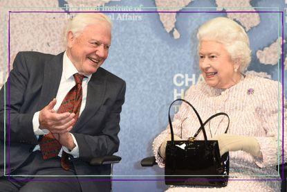 David Attenborough Queen - Queen Elizabeth II presents the Chatham House Prize 2019 to Sir David Attenborough at the Royal institute of International Affairs, Chatham House on November 20, 2019 in London Colney, England. 