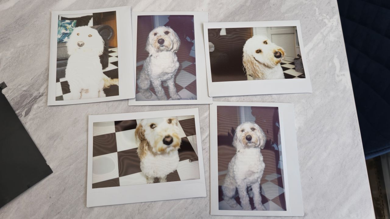 Fujifilm Instax Wide 400 review