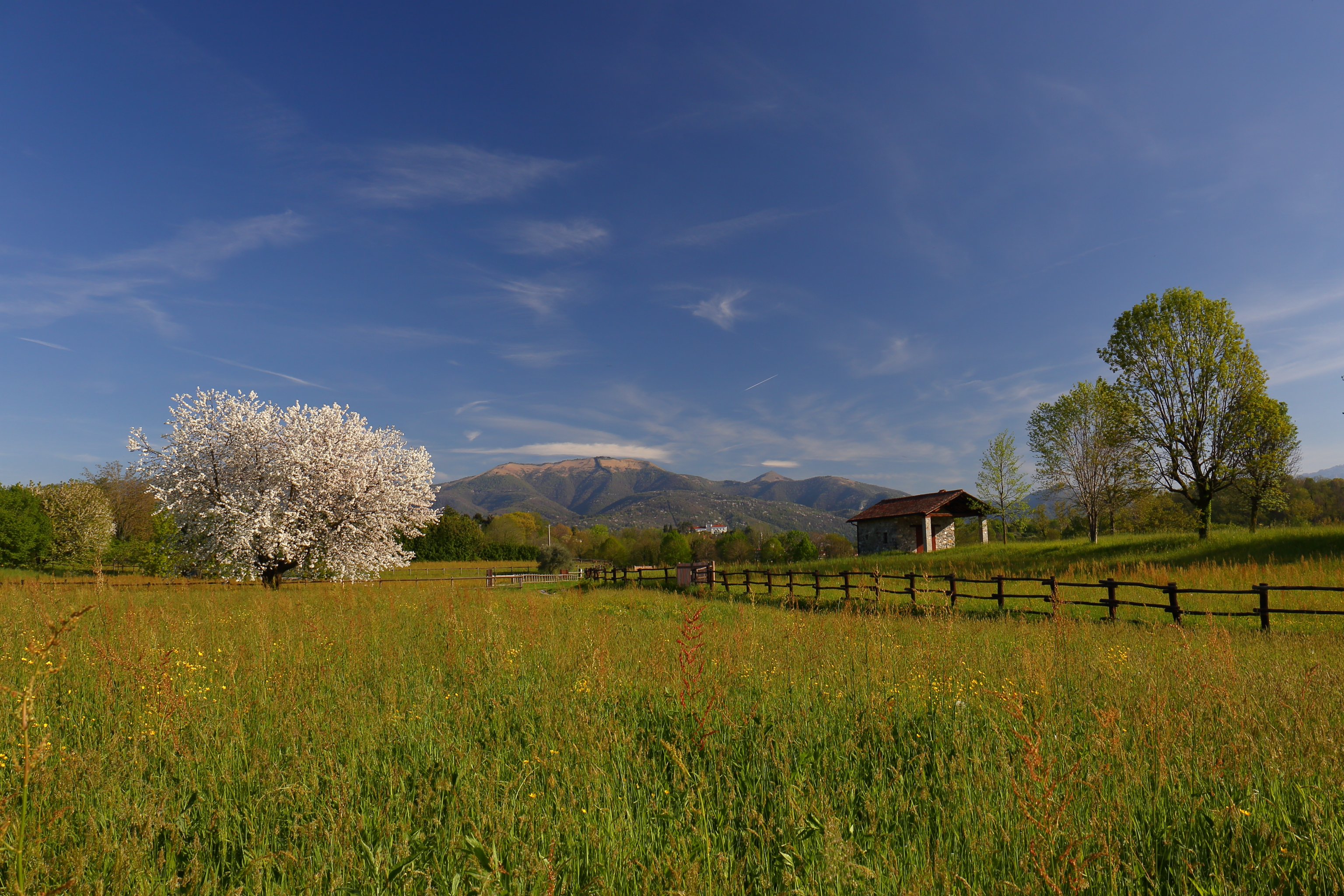 GuruShots - March 2026