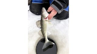Best ice fishing rods