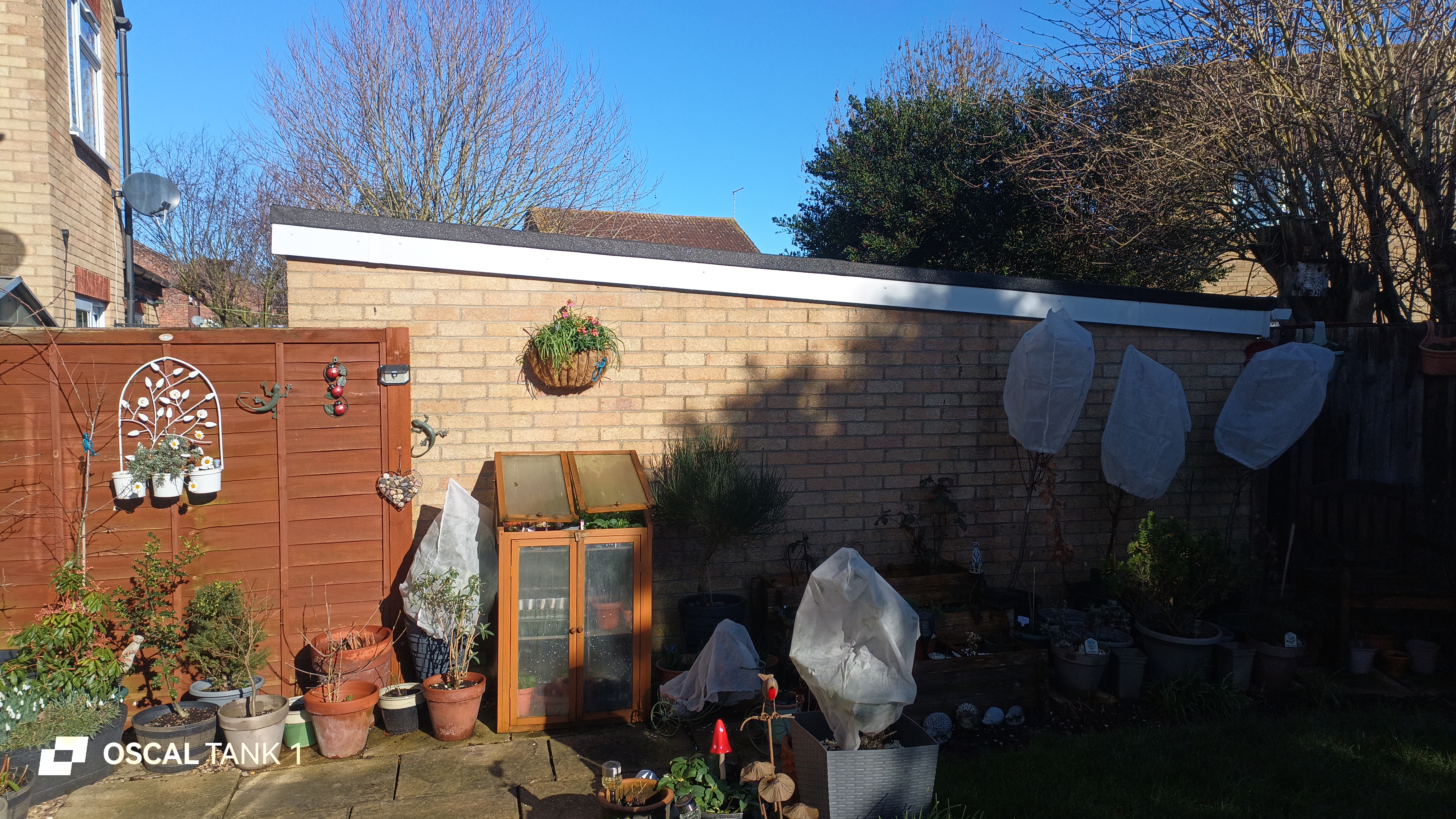 Blackview Oscal TANK 1 example pictures