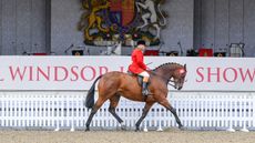 royal windsor hunter championship
