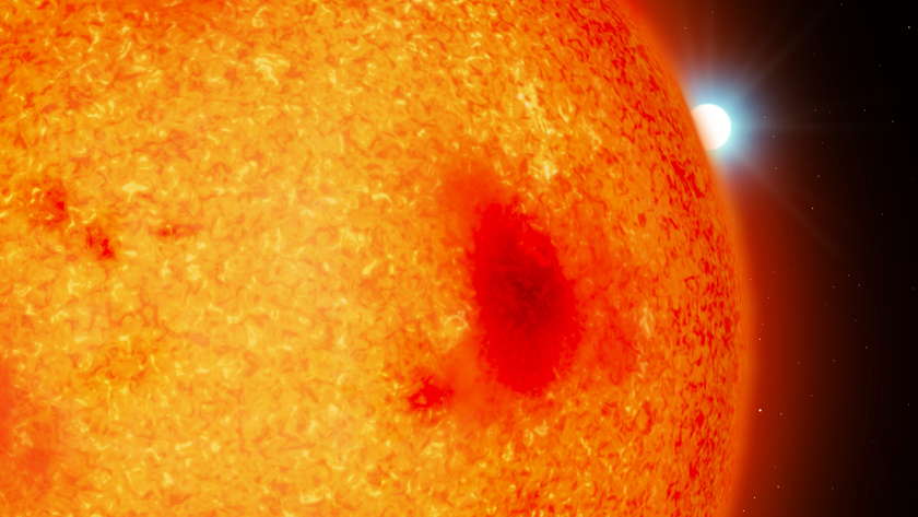 An artist impression of a red dwarf with a&nbsp;white dwarf binary companion peekingout from behind. The diameters of the two stars are shown to scale.