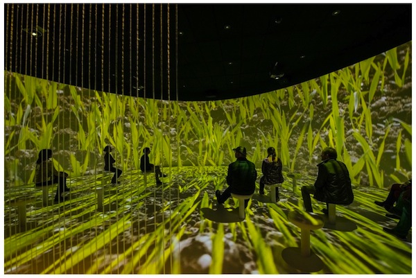 Brew Cinema at Stiegl Brauwelt Features Floor Projected Panoramic Film