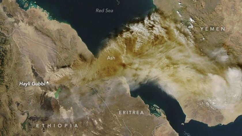 An image of Earth from space, showing Ethiopia and the Middle East covered with brown and gray streaks of ash