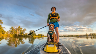 Man paddleboarding with a dog on a lake