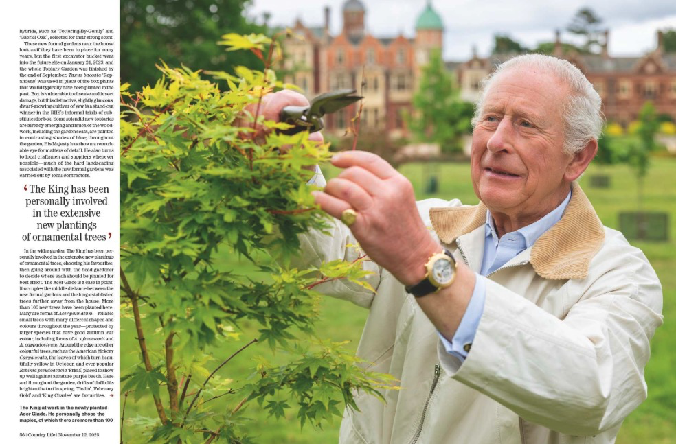 Spreads from Country Life 12 November 2025