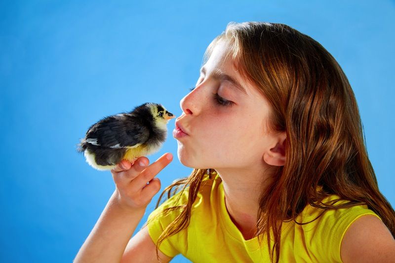 a girl kissing a baby chick