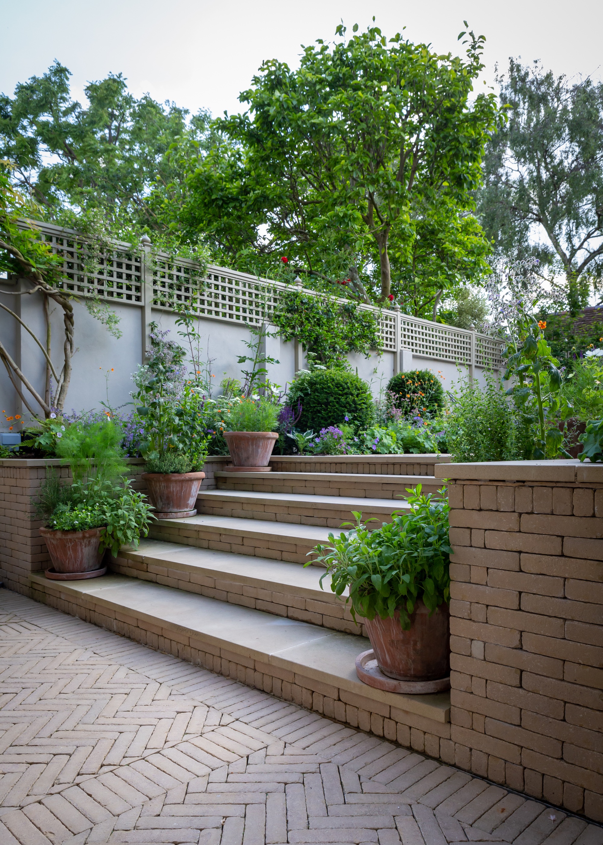 Terracotta pots lining garden steps in a backyard with plants inside them as well as trees hanging above