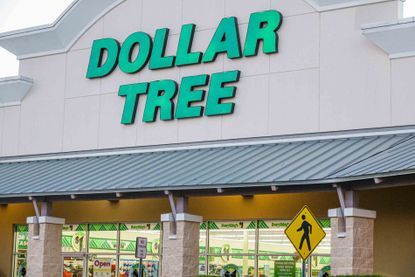 Exterior of a Dollar Tree store in Florida 2021