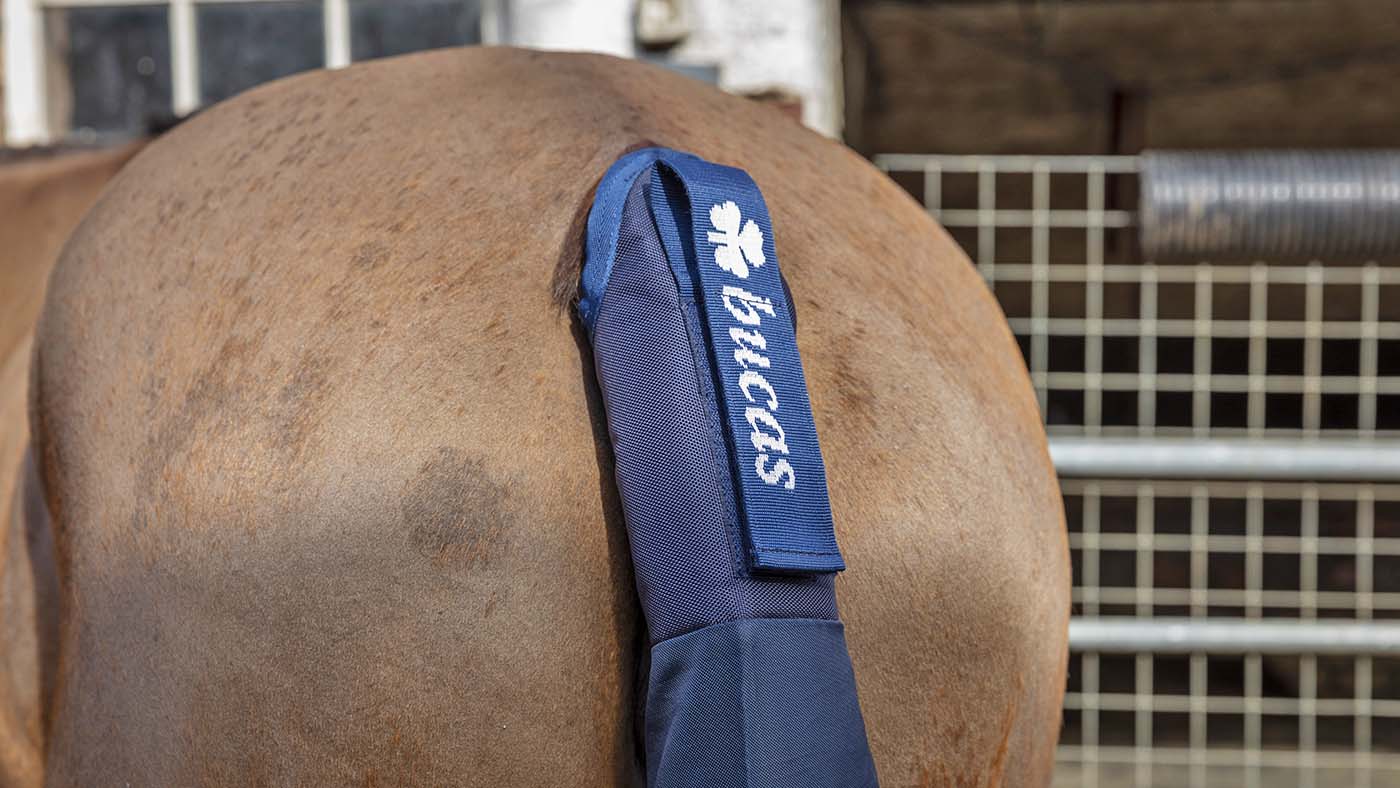 Bucas tail guard for horses