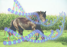 fell_dna.jpg