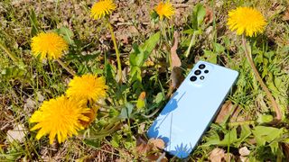 Galaxy A53 ligger blandt mælkebøtter på græsset
