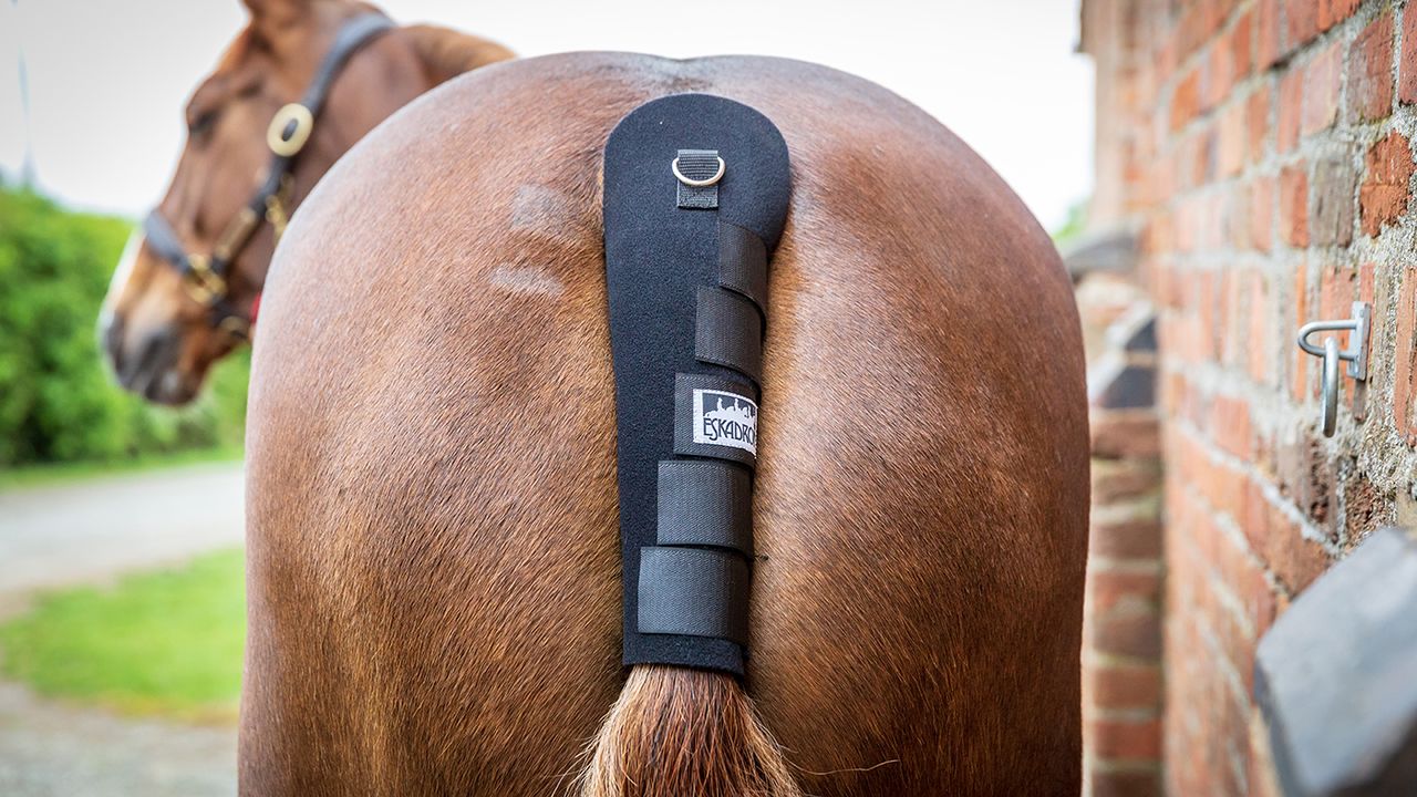 Eskadron tail guard review