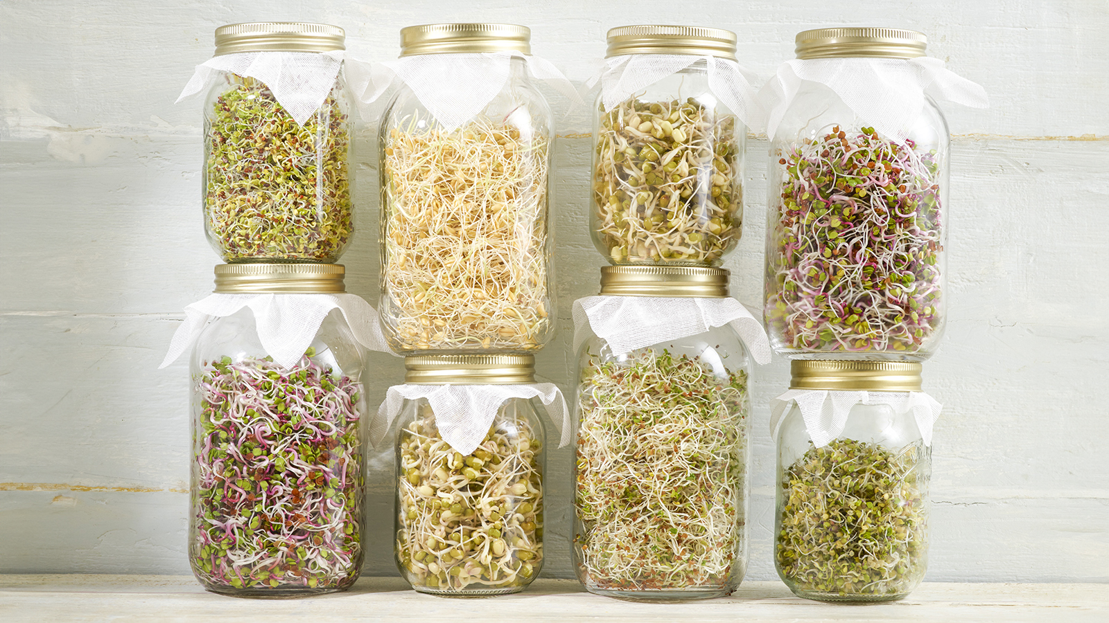 Edible sprouts in jars