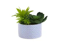 SIENA 10in Succulents In Printed Pot for $24.99, at TJ Maxx