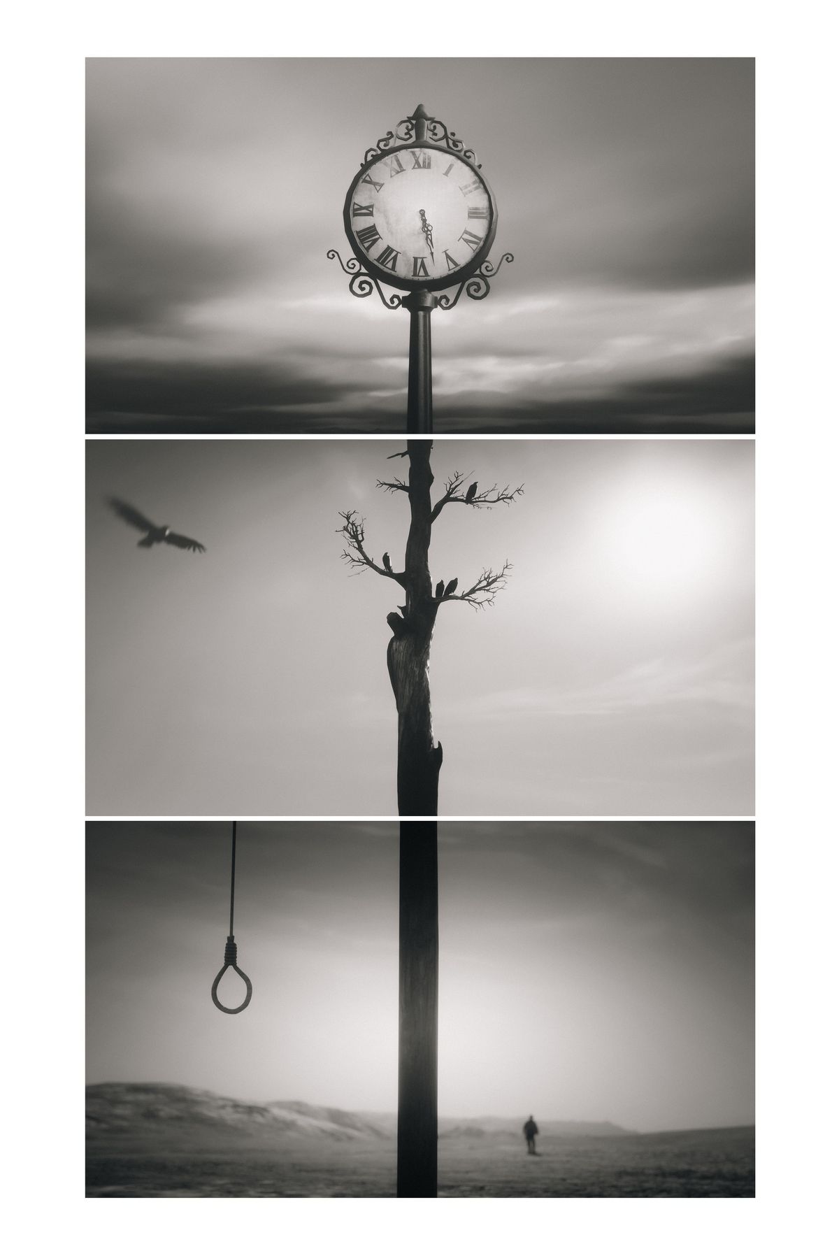 The Virtual Photography Awards for 2025