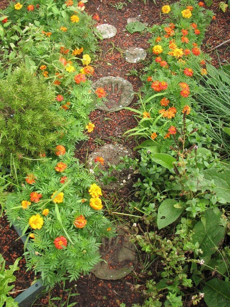 Garden Of Colorful Flowers And Stones