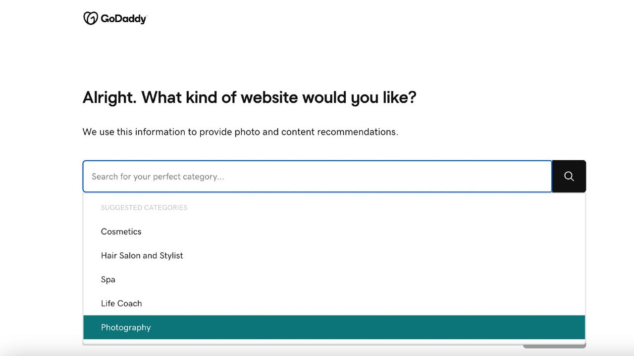 Screengrab of questions in the GoDaddy Web Builder interface