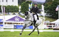 Blair dressage results Matt Heath