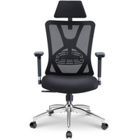 Ticova Ergonomic Office Chair: