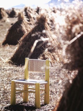 Chair in landscape