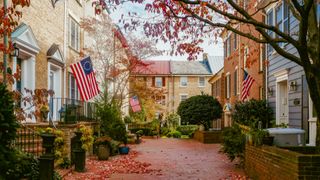 Rows of townhouses in Old Town Alexandria, Virginia