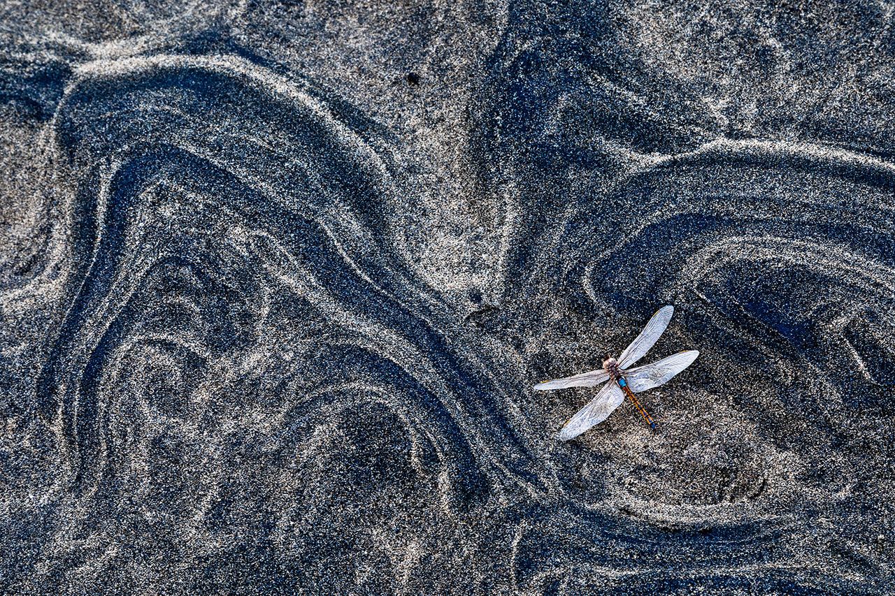 A winning image from the GDT Nature Photographer of the Year