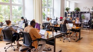 People working on laptops in an office.