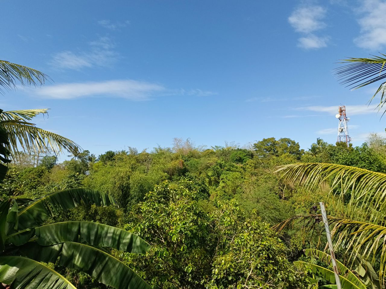 Tecno Camon 20 Pro 4G sample shots