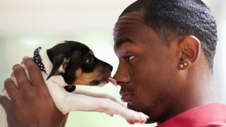 Dog licking man&#039;s nose