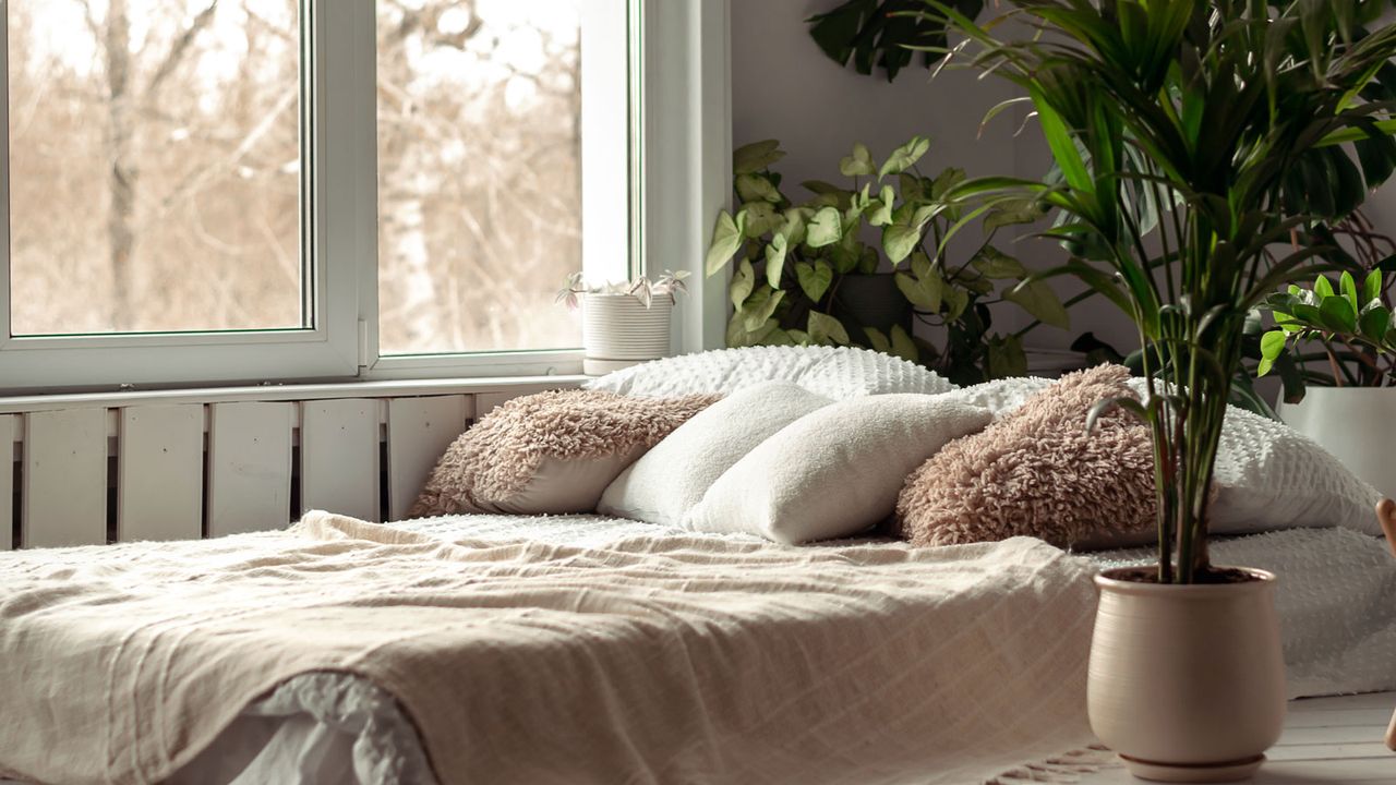 bedroom with houseplants including swiss cheese plant