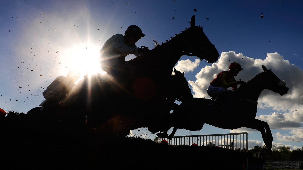 Racehorse jumping