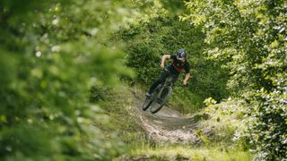 Mountain bike rider on a wooded trail at BikePark Wales