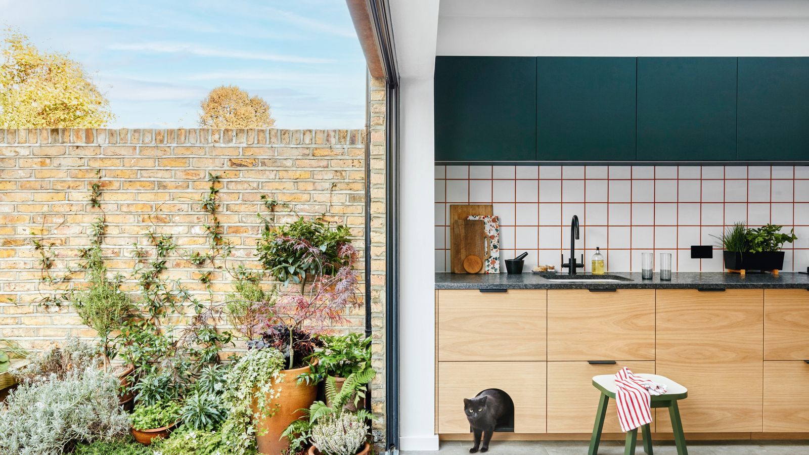 7 Creative Projects That Put Dogs and Cats First | Livingetc