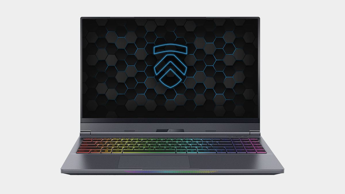 Eluktronics 1440p laptop