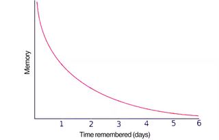 A graph showing how memory decreases over time