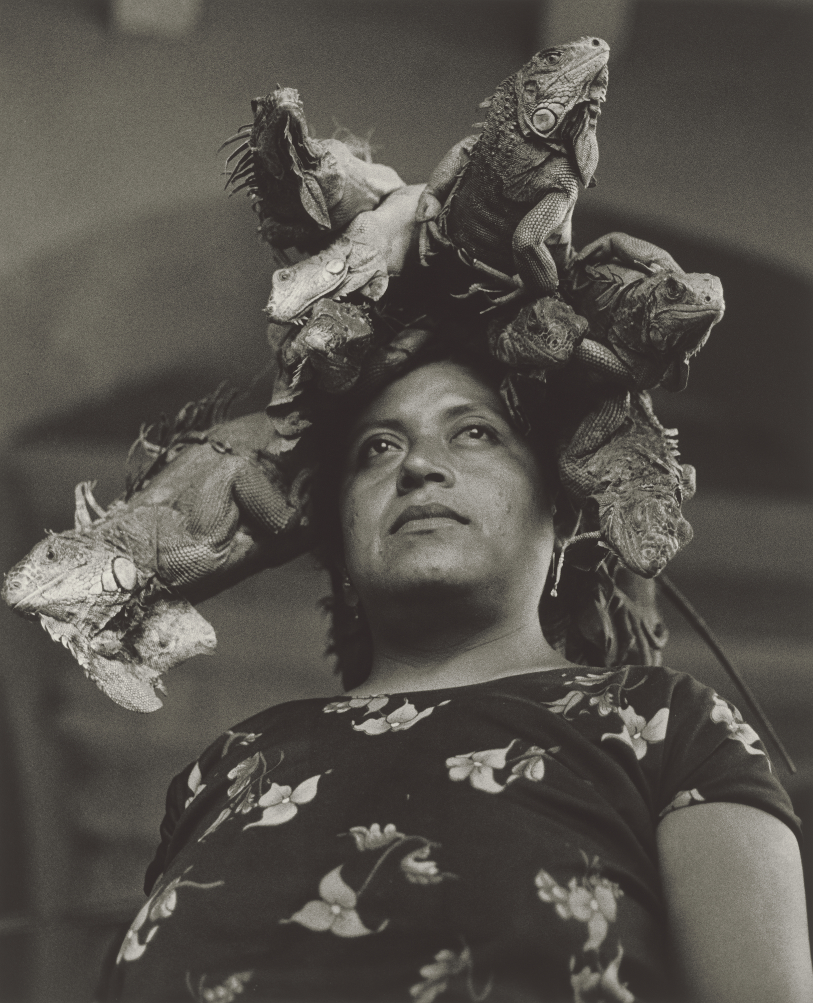 Black and white portrait of a woman looking upward with several live iguanas arranged across the top of her head like a headdress.