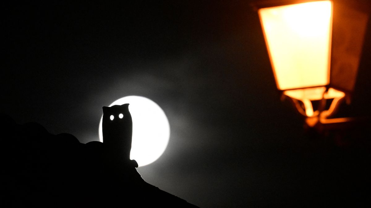 Hunter’s Supermoon rises this week, the largest full moon of 2024. Here’s how to see it