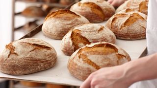 person carrying round loaves of bread on a tray