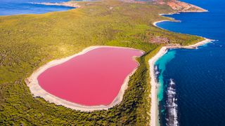 Pink lake surrounded by forests and a blue ocean.