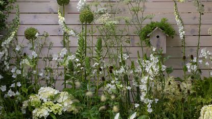 garden fence decoration ideas – white stained fence with plants and birdhouse