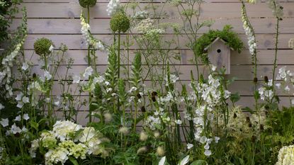 Blooming Flower Stencils for painting a backyard fence - Flower