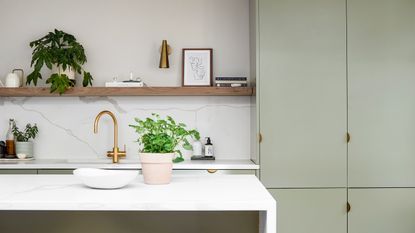 Small sage green kitchen with open shelving