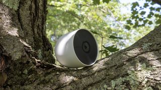 Google Nest Cam (battery)