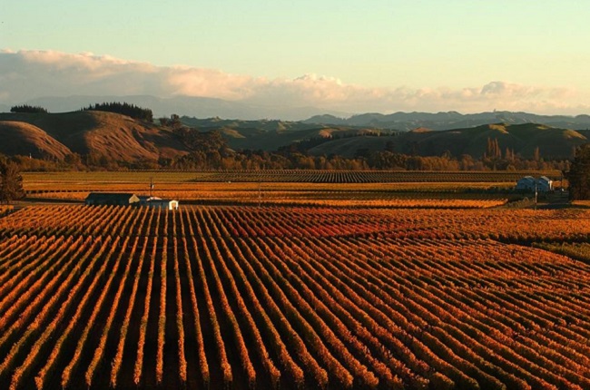 gimblett gravels wine