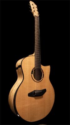 JOI Guitars hemp wood acoustic